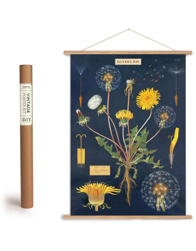 Cavallini Vintage Poster Kit Dandelion