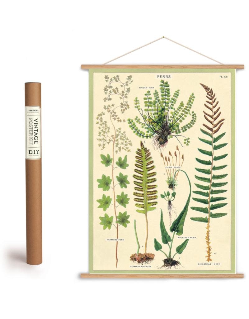 Cavallini Vintage Poster Kit Ferns