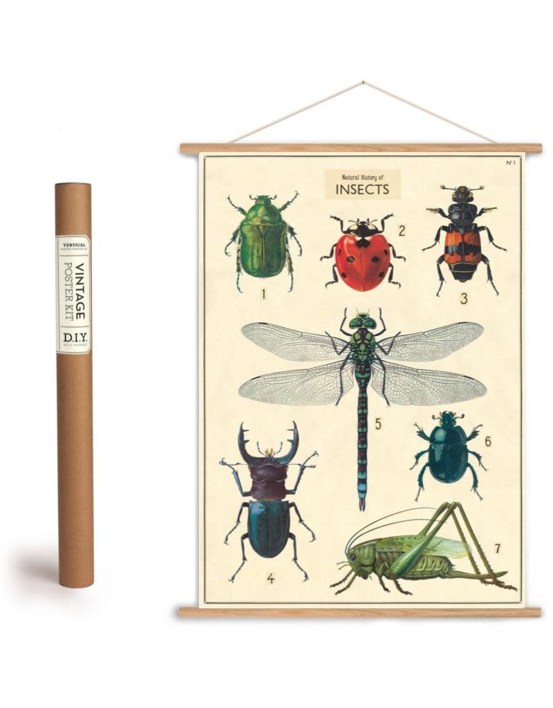 Cavallini Vintage Poster Kit Insects