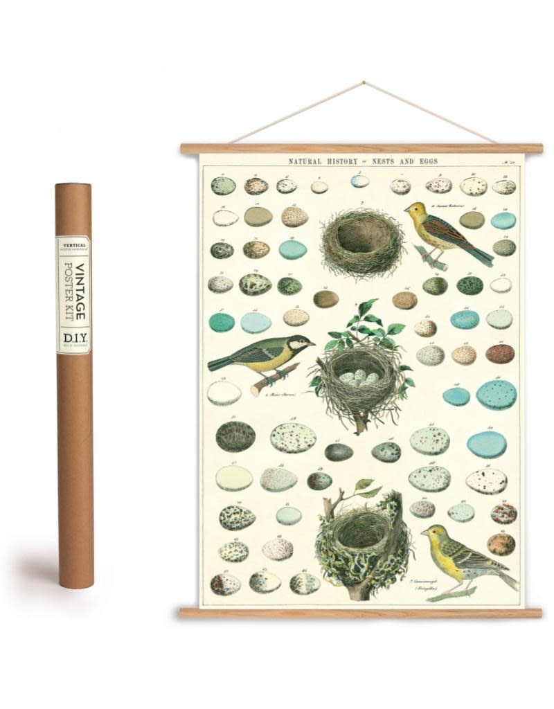 Cavallini Vintage Poster Kit Nesteggs
