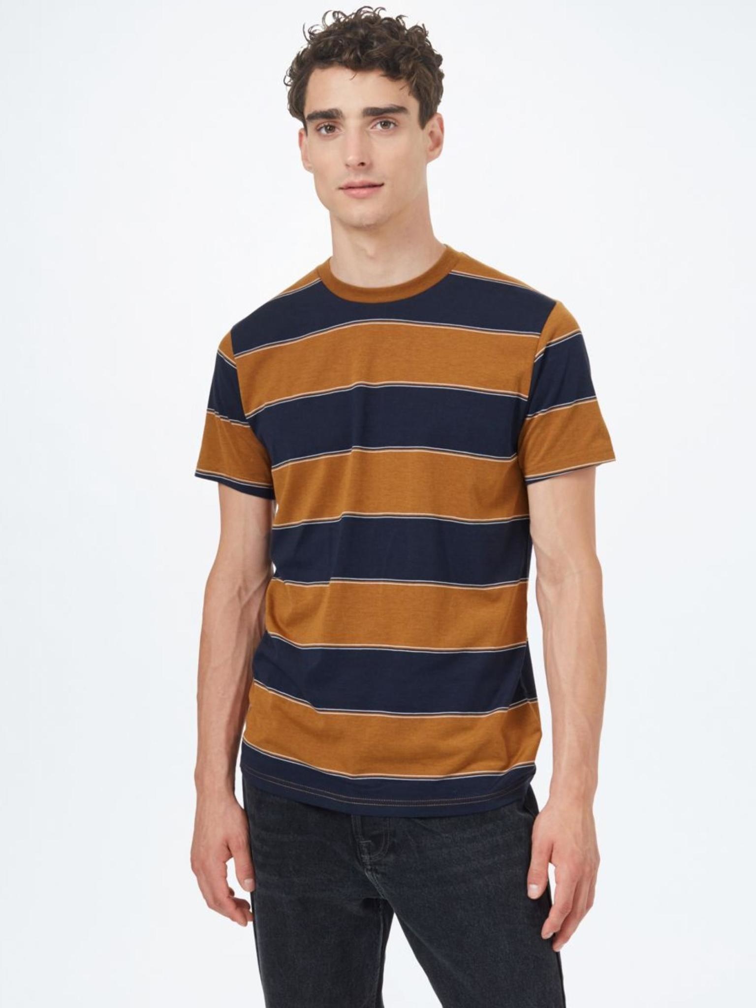 Tentree Men's Rugby Stripe T-Shirt