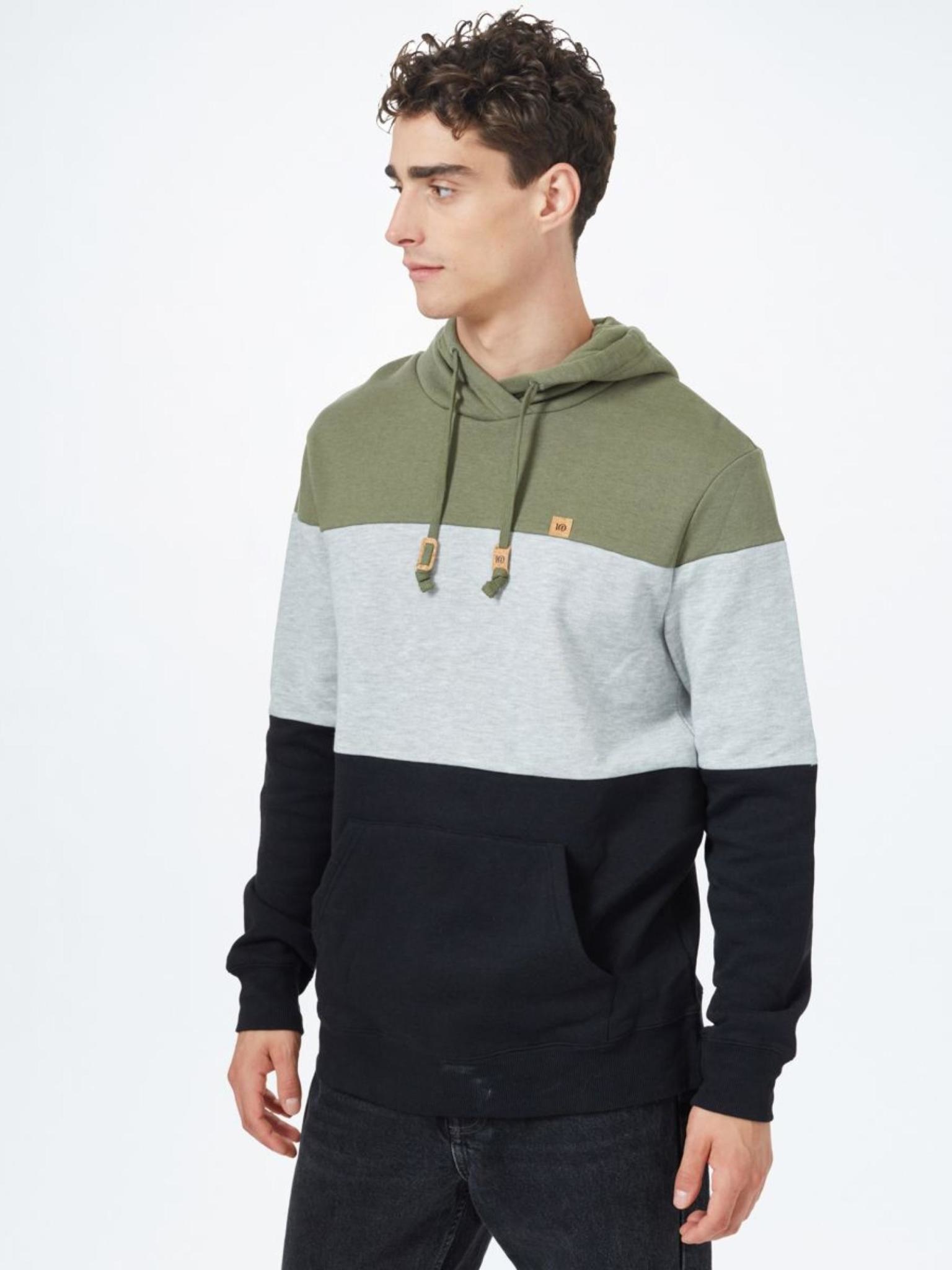 Tentree Men's Fleece Blocked Reynard Hoodie