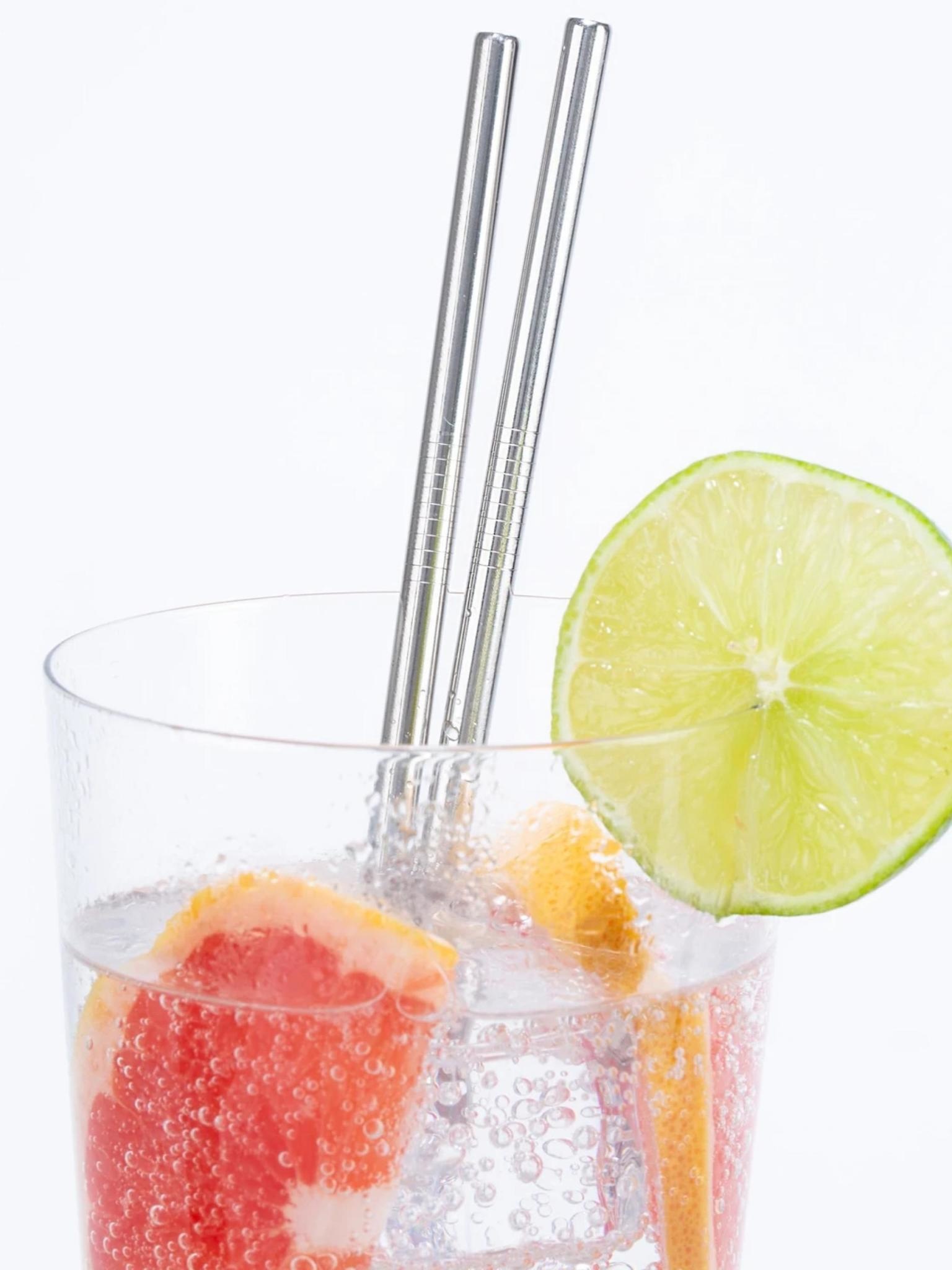 Kikkerland Stainless Steel Straw Set