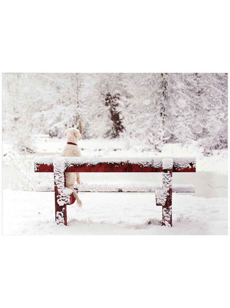 Peter Pauper Dog on Snowy Bench Deluxe Boxed Holiday Cards