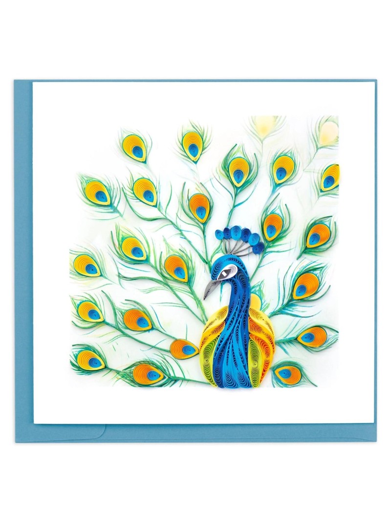 Peacock Feather Display