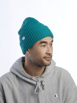 Coal Headwear The Dan Beanie