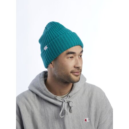 Coal Headwear The Dan Beanie