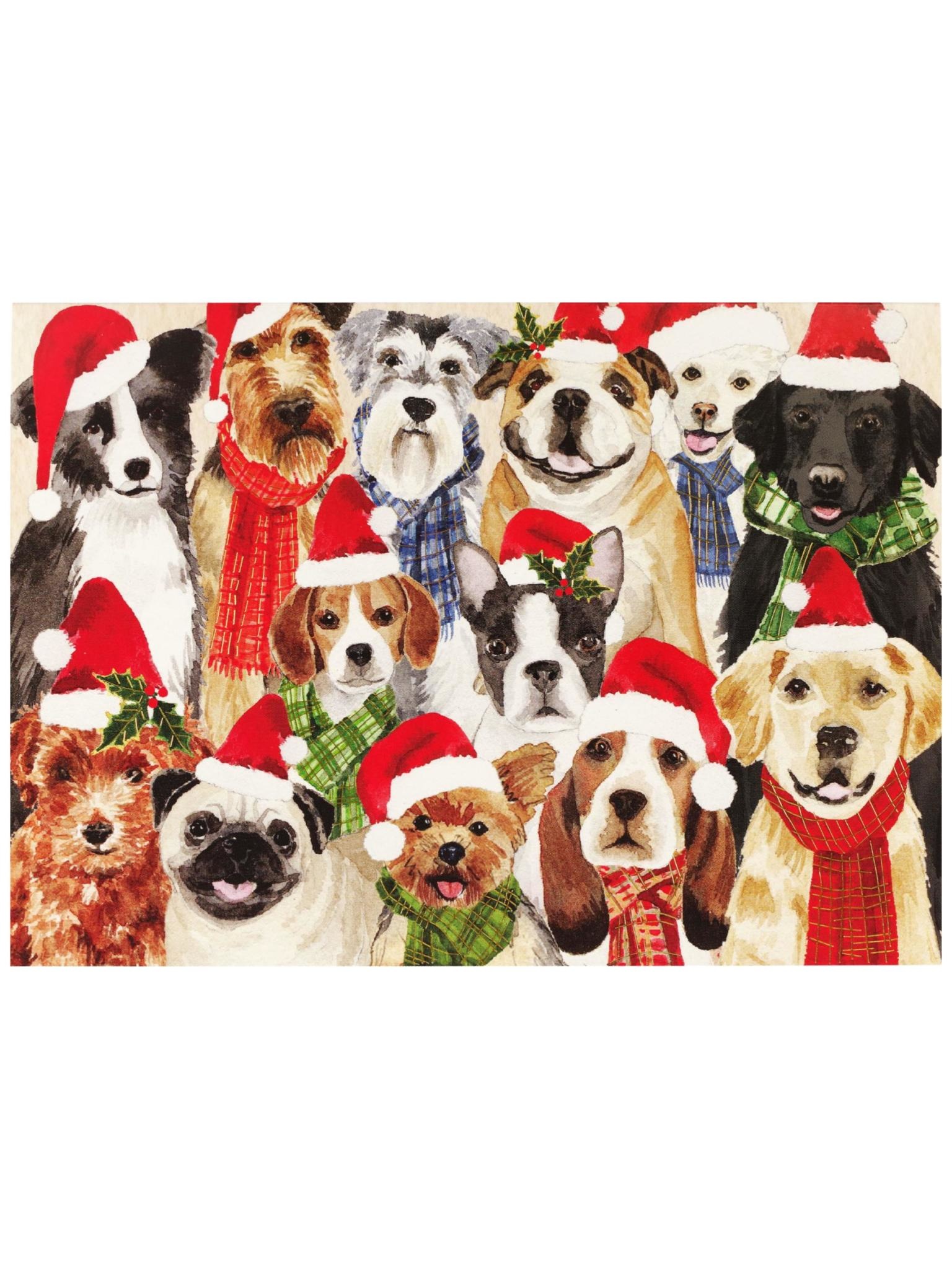 Peter Pauper Deck The Dogs Deluxe Boxed Holiday Cards