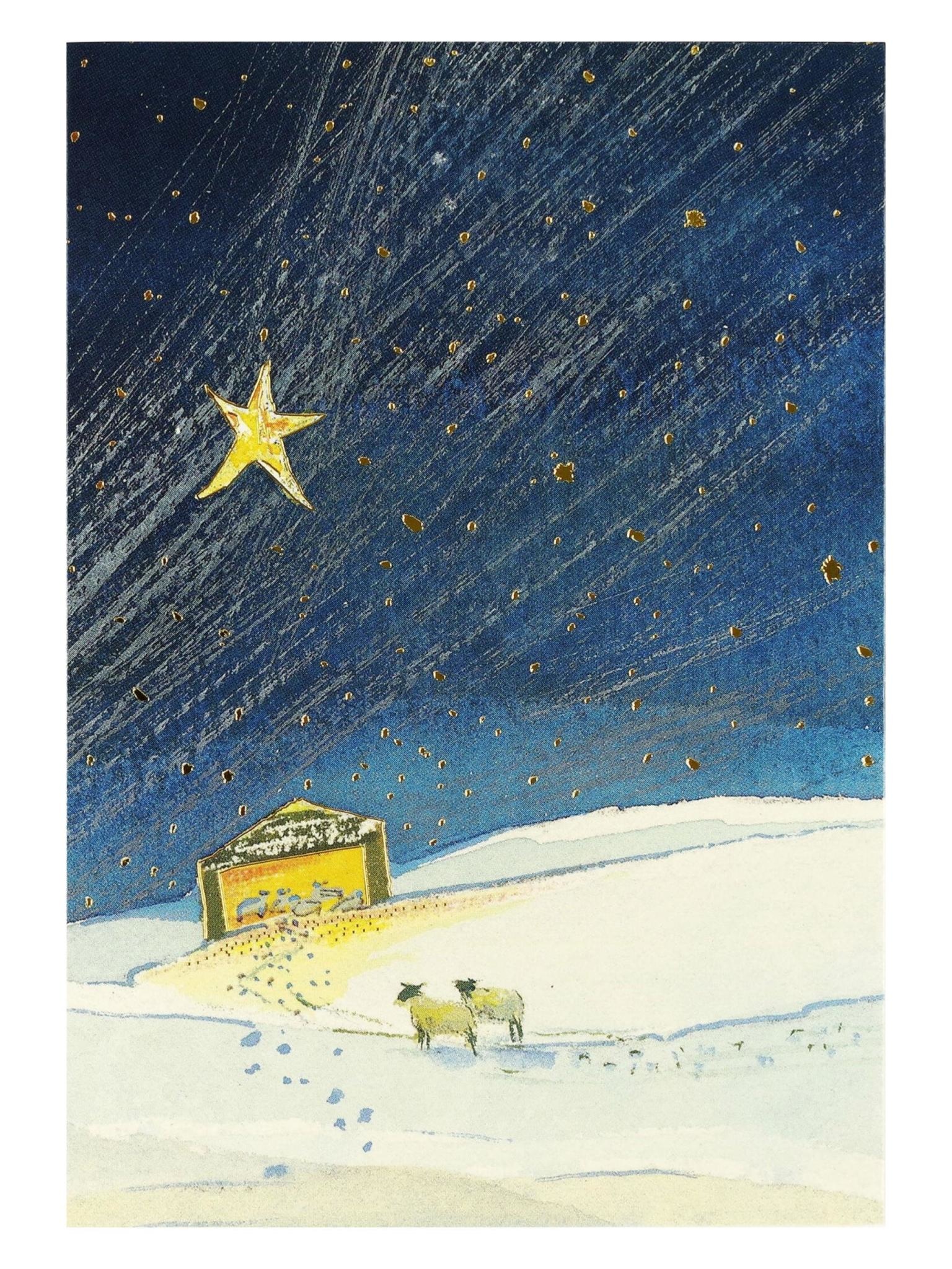 Peter Pauper The Guiding Star Small Boxed Holiday Cards