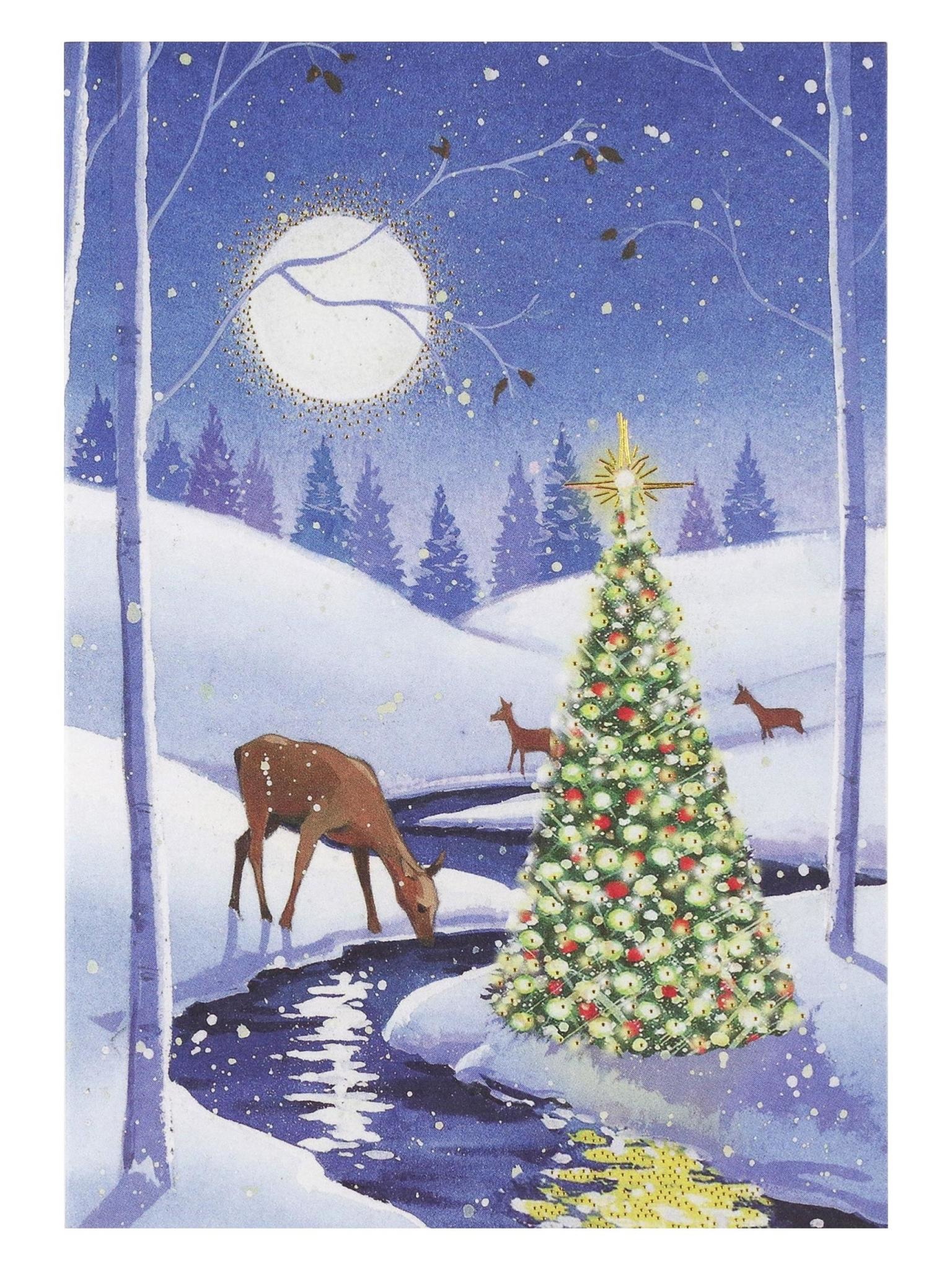 Peter Pauper Tranquil Stream Small Boxed Holiday Cards