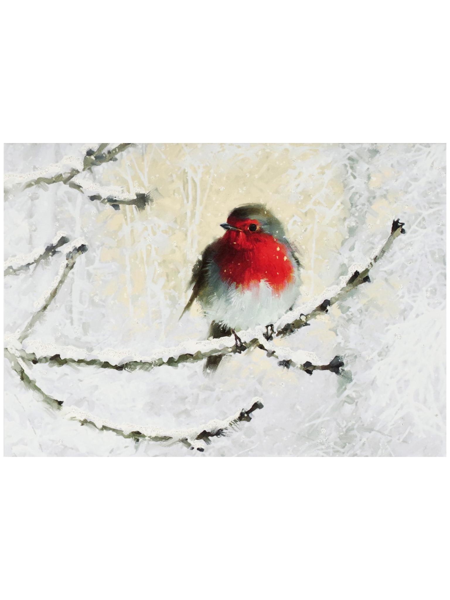 Peter Pauper English Robin in Winter Deluxe Boxed Holiday Cards