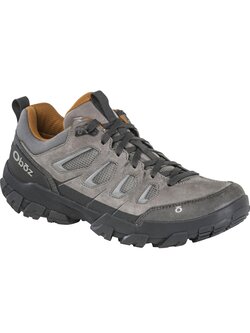 Oboz Footwear Men's Sawtooth X Low Hiker