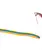 Rainbow Ribbon Wand