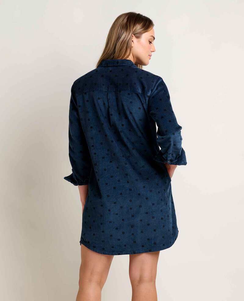 Toad & Co Women's Cascadia Popover Long-Sleeve Dress
