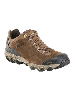 Oboz Footwear Men's Bridger Low B-Dry