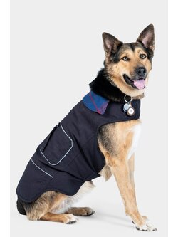 Dovetail Shop Dog Jacket