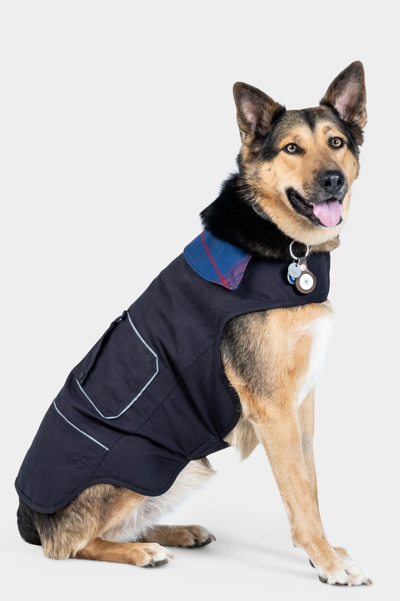 Dovetail Shop Dog Jacket