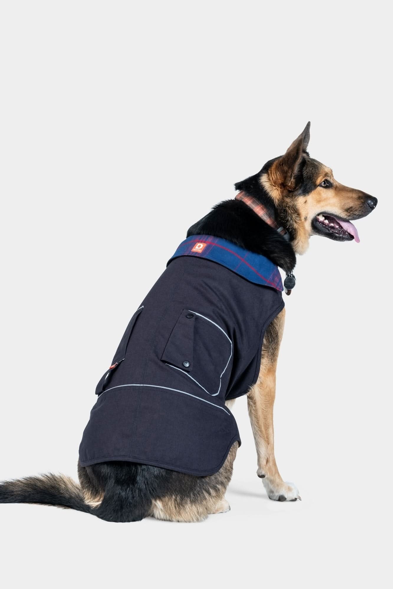 Dovetail Shop Dog Jacket