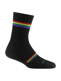 Darn Tough Women's Prism Crew Lightweight Cushion Sock