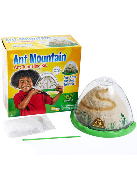 Ant Mountain