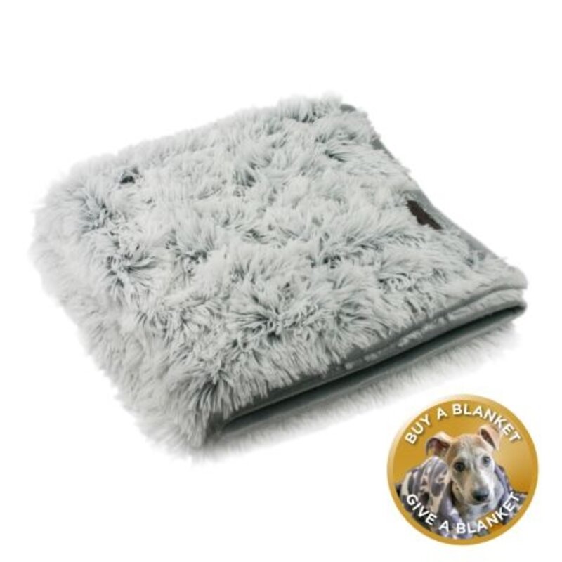 Dream Chaser Waterproof Blanket Grey