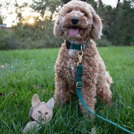 Natural Leather & Wool Fox Toy - 4"