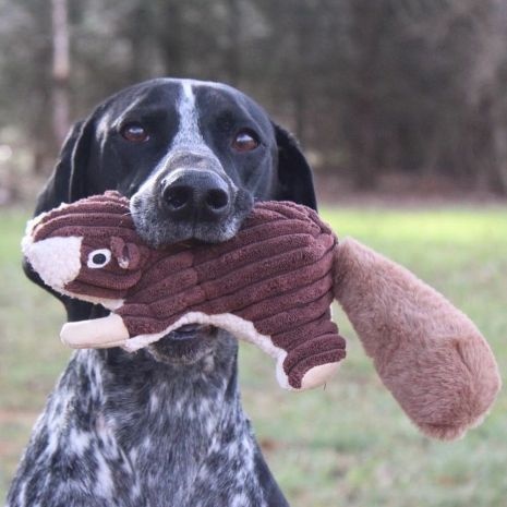 Plush Squirrel with Squeaker 12"