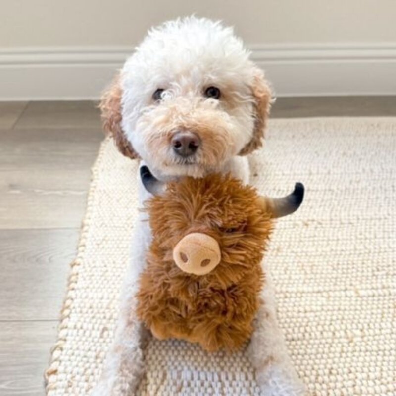 Highland Cow Indoor Fetch Ball 2 In  1 Toy 4"