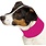 Pet Cooling Neck Gaiter