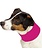 Pet Cooling Neck Gaiter