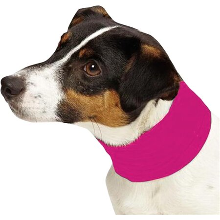 Pet Cooling Neck Gaiter