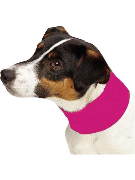 Pet Cooling Neck Gaiter