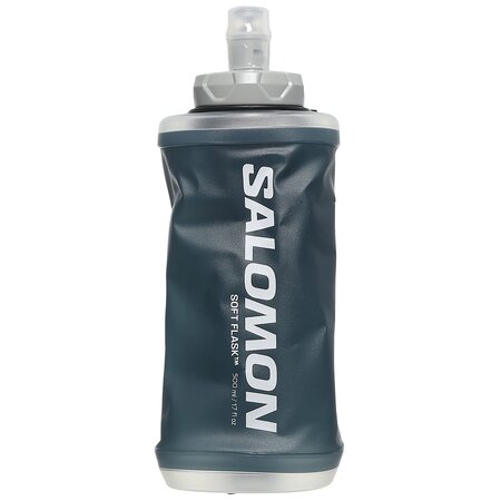 Salomon Active Handheld