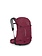 Osprey Hikelite Backpack 28