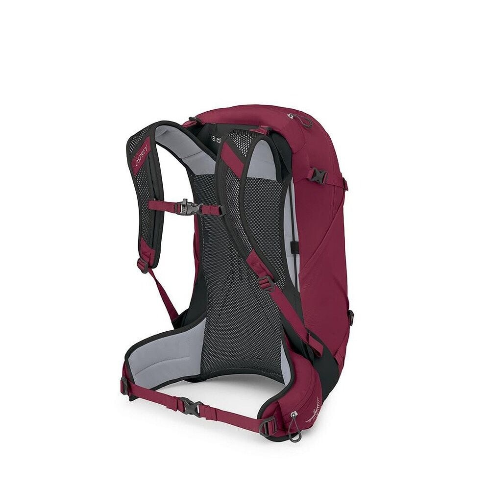 Osprey Hikelite Backpack 28