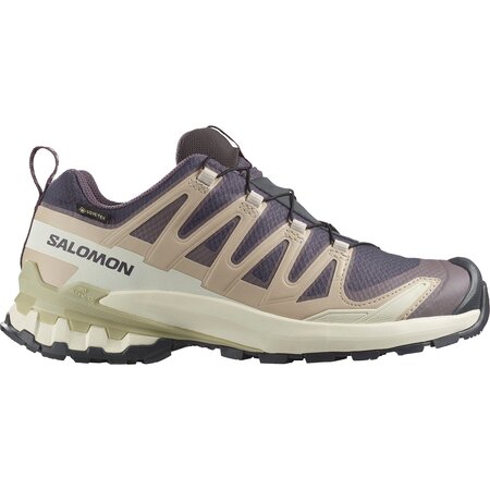 Salomon Women's XA Pro 3D V9 GTX
