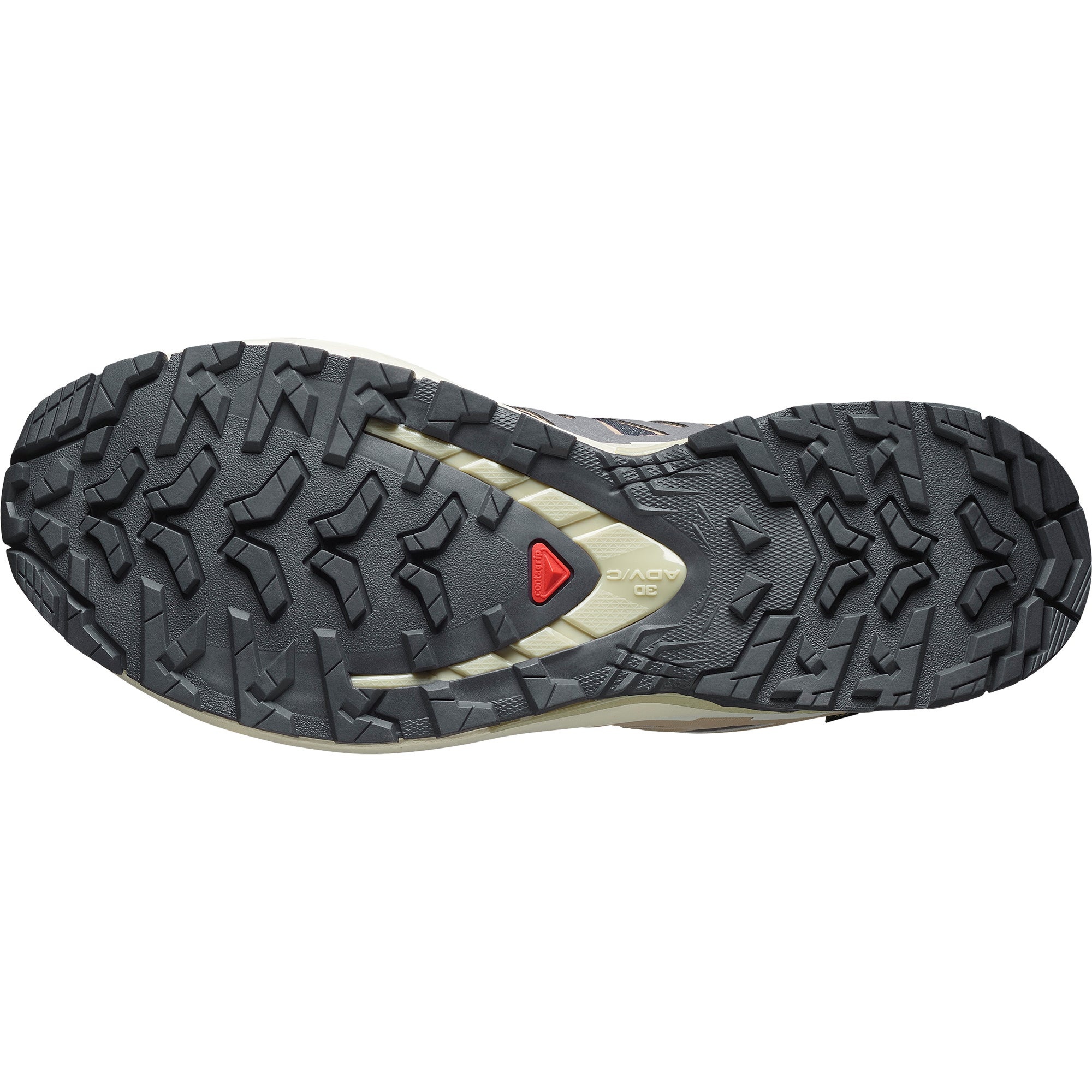Salomon Women's XA Pro 3D V9 GTX