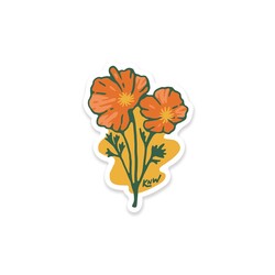 California Poppy