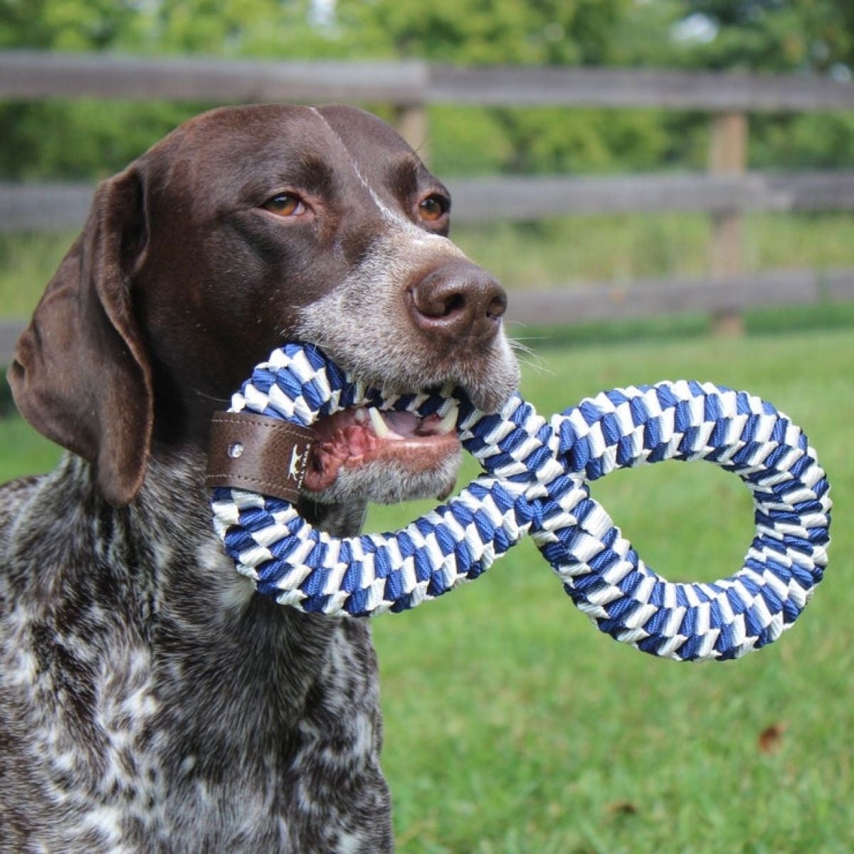 Navy Braided Infinity Tug Toy 11"
