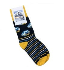 Sock Club Capitol Corridor Cappy Striped Socks