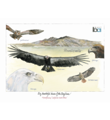 Fine Art Print - Birds of the Bay