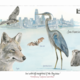 Fine Art Print - Neighbors of the Bay