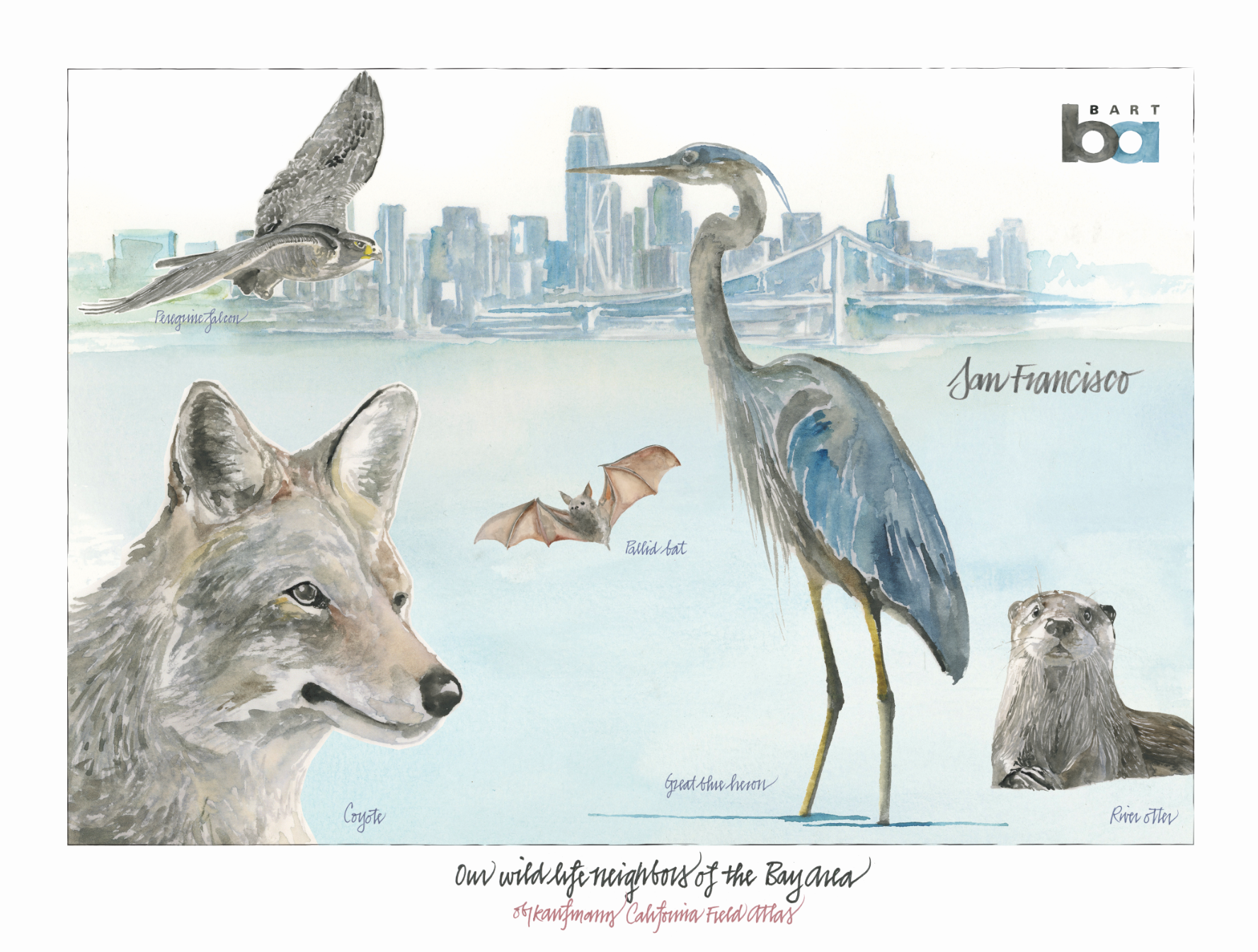 Fine Art Print - Neighbors of the Bay