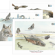 Fine Art Prints - SET OF 3