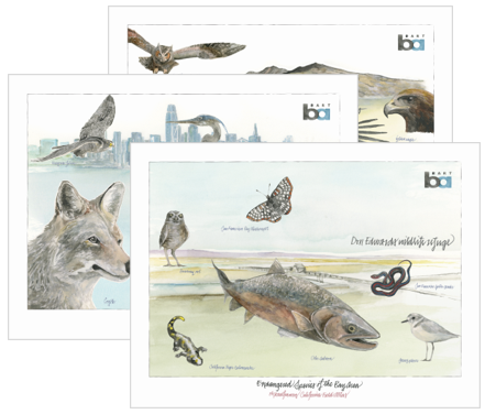 Fine Art Prints - SET OF 3