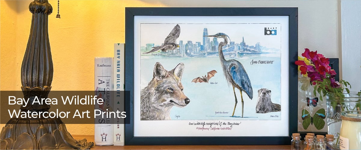 Fine Art Prints