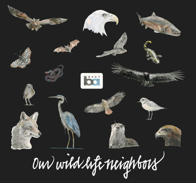 T-Shirt Wildlife