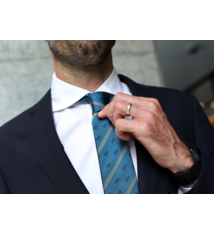 *NEW* BART Silk Necktie