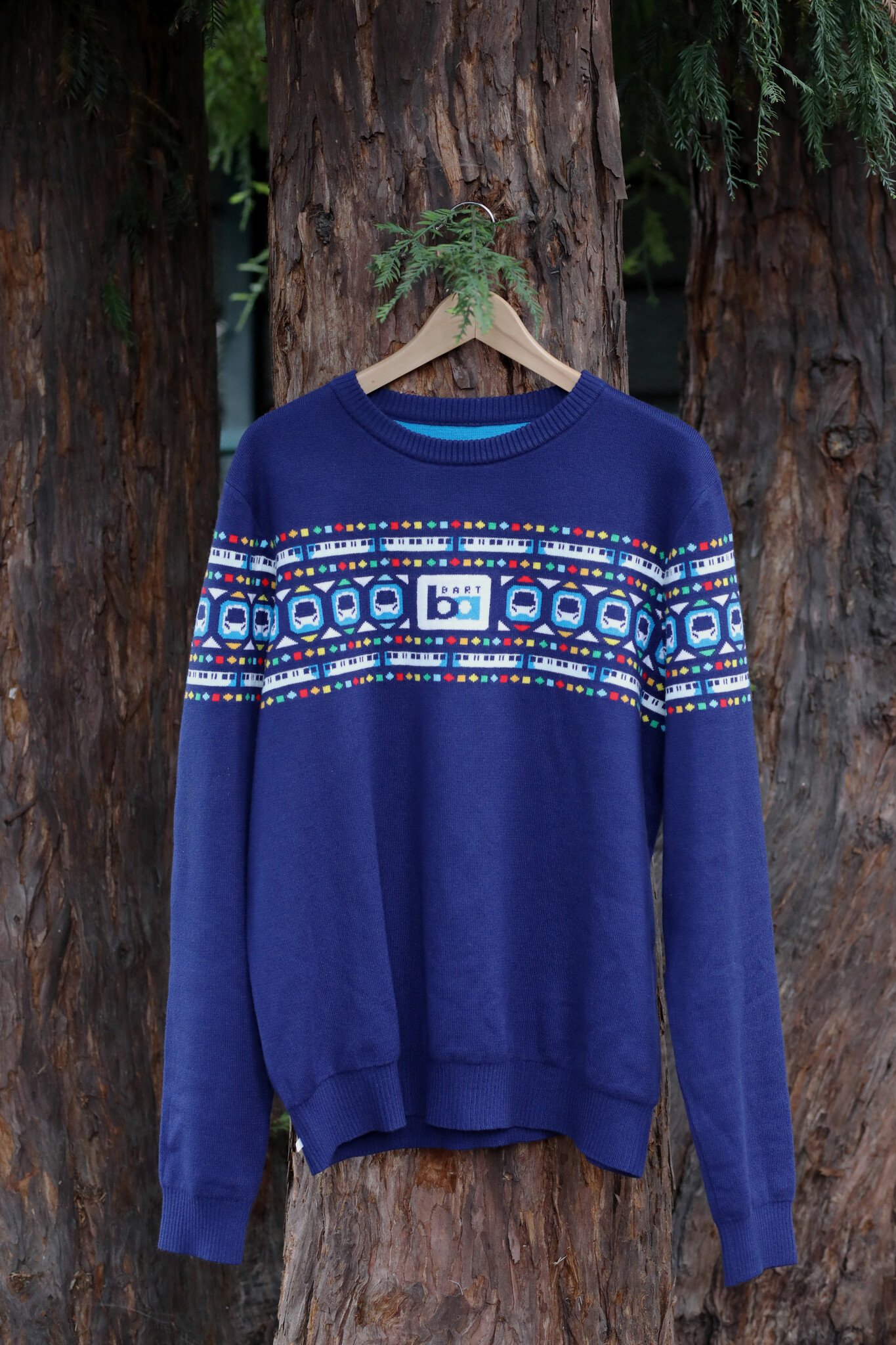 2025 Holiday Sweater - Adult Blue