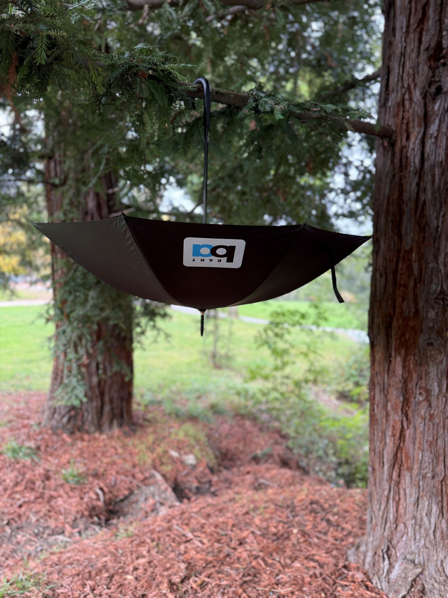 BART Umbrella